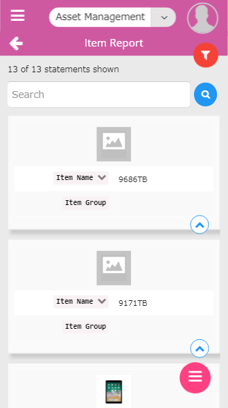 Mobile asset inventory management item report screen